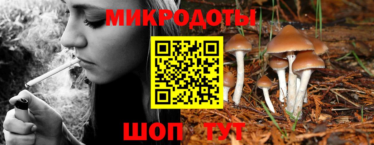 Галлюциногенные грибы Magic Shrooms Гулькевичи