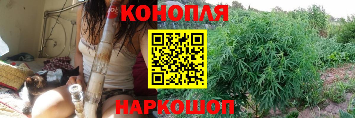Гулькевичи  МАРИХУАНА OG Kush  Вход с VPN  Бошки Шишки семена  Марихуана конопля 
